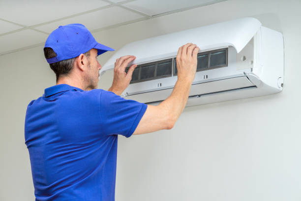 Best Air Duct Sanitizing Services  in Okemos, MI